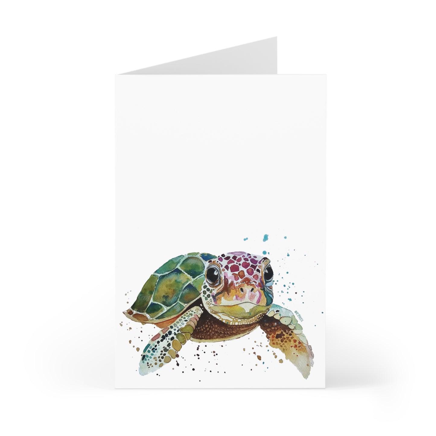 Turtle on White - Art by Rien - Greeting Cards (7 pcs)